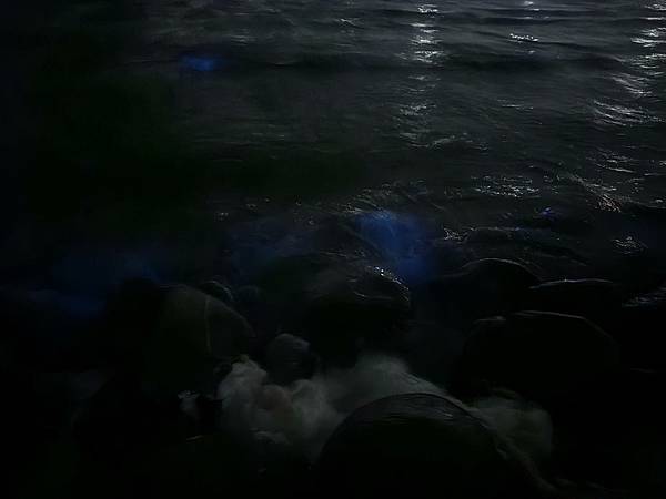 114/10/22將軍區青鯤鯓扇形鹽田「生命之樹」前~~藍眼