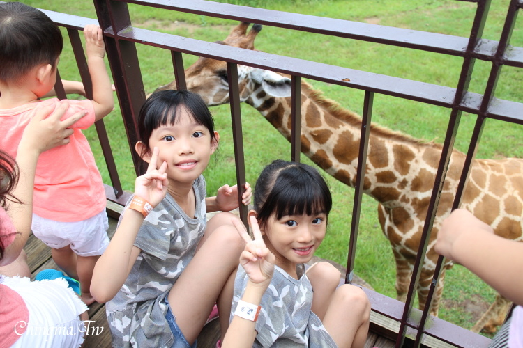 IMG_6207.JPG IMG_6207.JPG