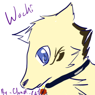 wochi.png