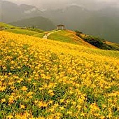 images (3) images (3)