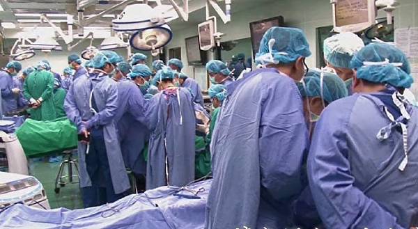 父親的身後事,從大體捐贈到植葬《植葬才真有入土為安》 父親的身後事,從大體捐贈到植葬《植葬才真有入土為安》