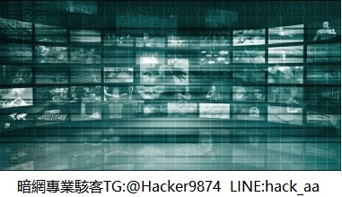 道德駭客之弱點分析