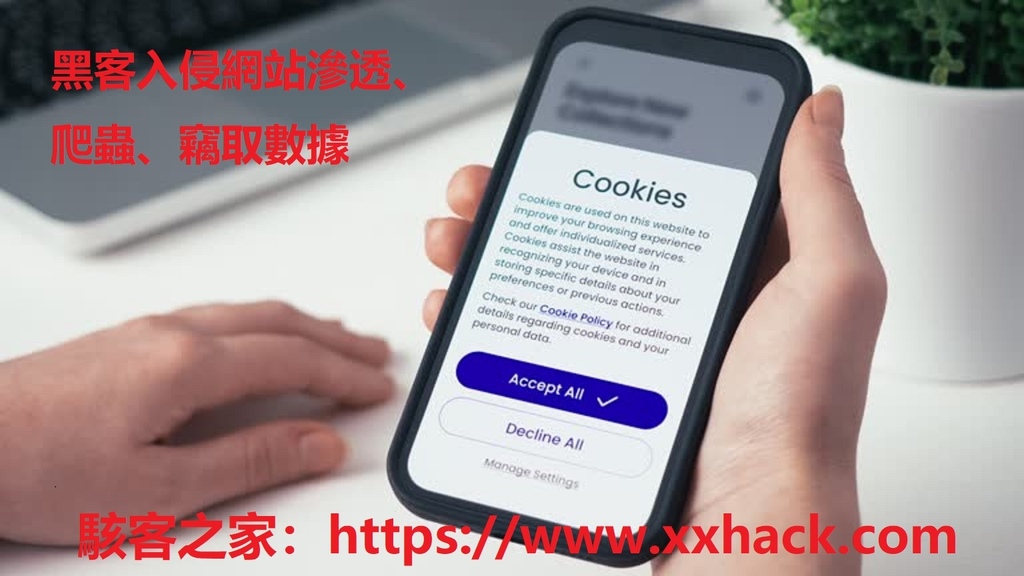 如何保護網站免受Cookie偽造攻擊？
