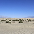 Death Valley-Mesquite Flat Sand Dunes02.JPG