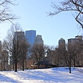 Central Park 14.JPG