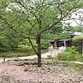 兼六園01.JPG