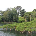 兼六園17.JPG