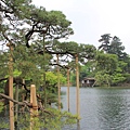 兼六園19.JPG