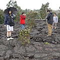 Hawaii Volcanoes National Park 10.JPG