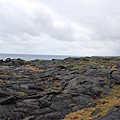 Hawaii Volcanoes National Park 23.JPG