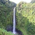 Akaka Falls 02.JPG