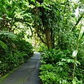 Hawaii Tropical Botanical Garden 09.JPG