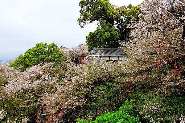 日本-紀三井寺.jpg