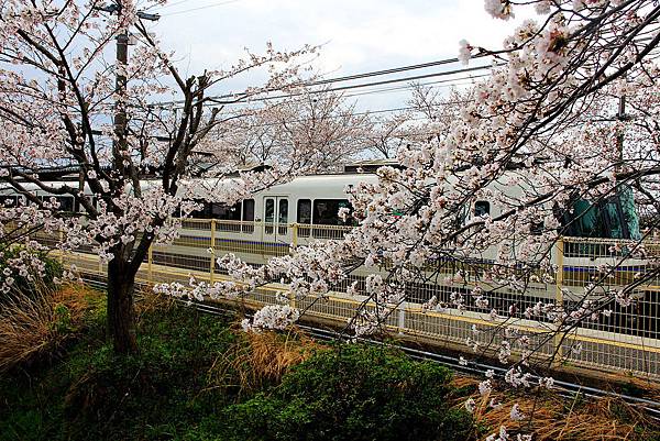 日本-嵐山(JR火車).jpg