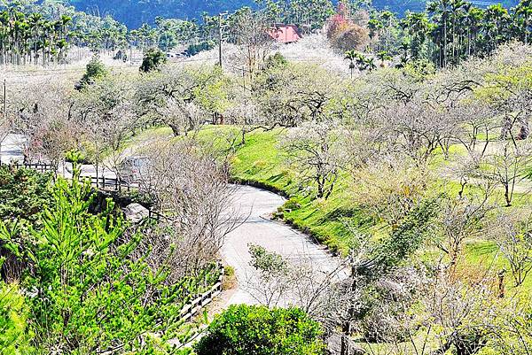 柳家梅園(網).jpg