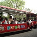 坐遊園列車