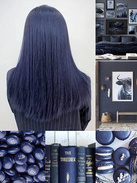 【大安區染髮】 藍色髮色 9種絕美藍色 你一定會愛上的濾鏡染