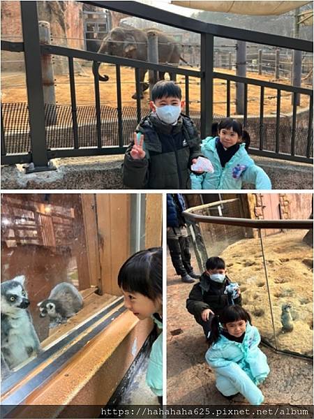 2025/01 [韓國首爾] Day2 兒童大公園博物館+雪