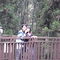 SDC13170.JPG