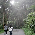 SDC13180.JPG