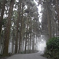 SDC13182.JPG