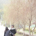 這張也很有fu說~