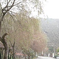 SDC13269.JPG