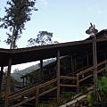 SDC13286.JPG