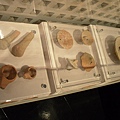 SDC16245.JPG