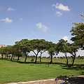 SDC16294.JPG