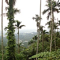 SDC16375.JPG