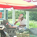 SDC16368.JPG