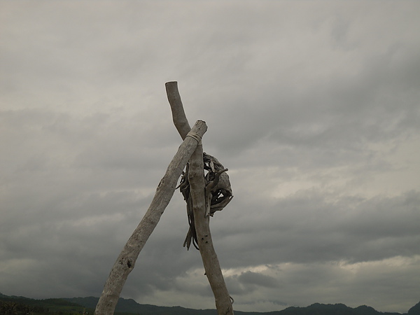 SDC16067.JPG
