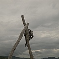 SDC16067.JPG