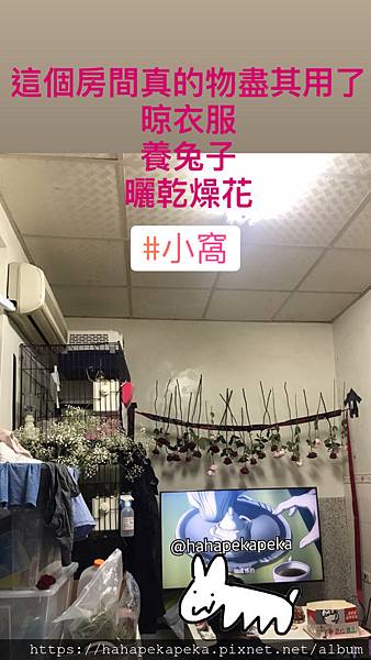 乾燥花 玫瑰 滿天星 新手 製作