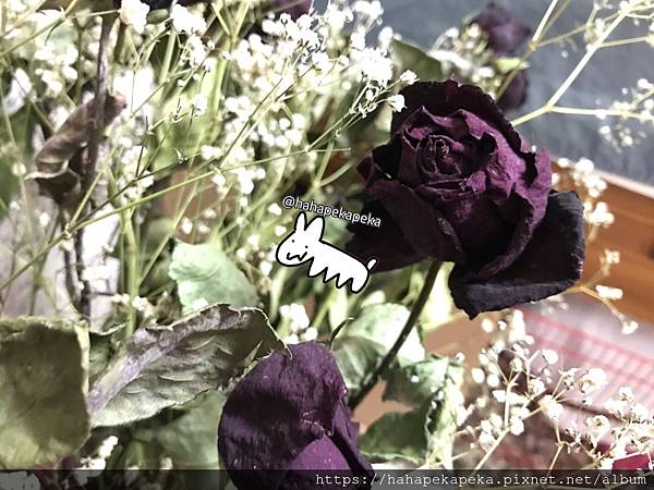 乾燥花 玫瑰 滿天星 新手 製作