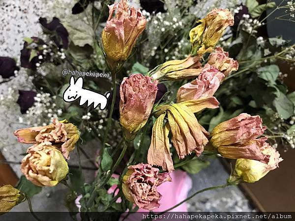 乾燥花 玫瑰 滿天星 新手 製作