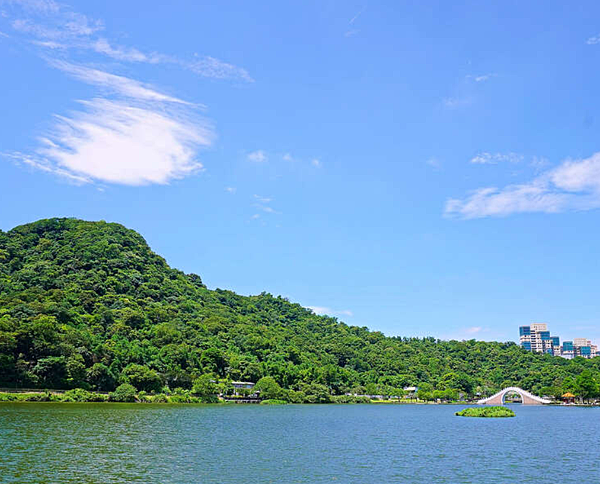 [食記] 台北內湖 Triple Cafe(大湖公園站)