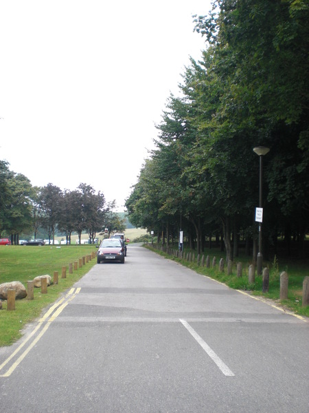 這條路接上學校和公園