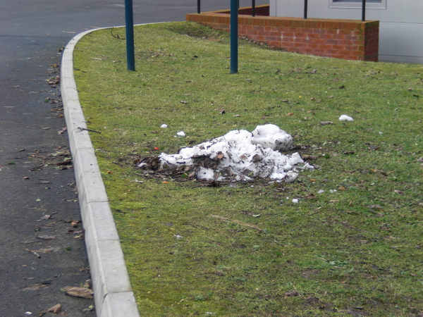 回來之後雪都融了