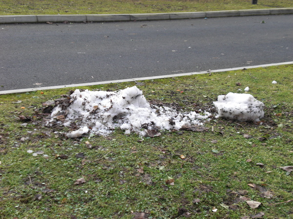 我還是去碰了一下