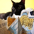 Pop-up Book：PARIS