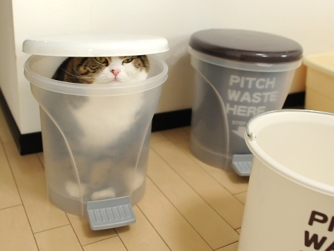 maru-recycling.jpg