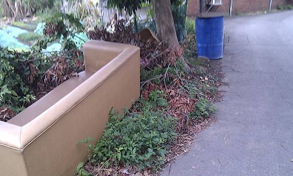 2012年11月12日西濱路一段 275巷19號對面榕樹下隨意丟棄大型廢棄物.jpg