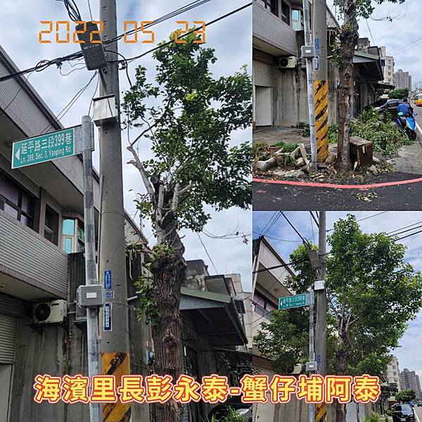 20220523延平路三段399巷路口修剪樹枝.jpg