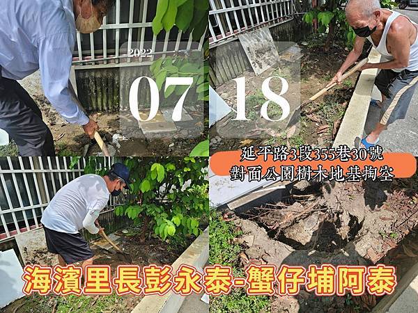 20220718延平路三段355巷30號對面社區小公園樹木地基掏空恐造成危險.jpg