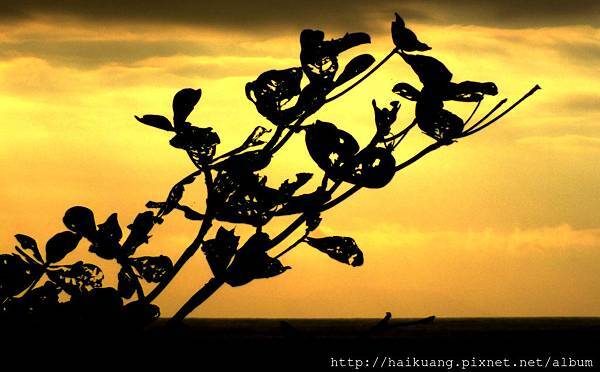 DSCF1232-5.jpg DSCF1232-5.jpg