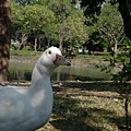 台中公園