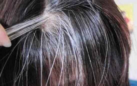 1480564562702.jpg 1480564562702.jpg