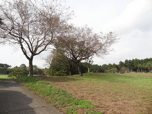 馬飼野牧場12.JPG